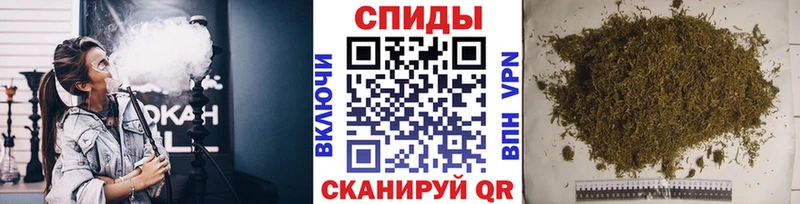как найти   Липки  Бутират Butirat 