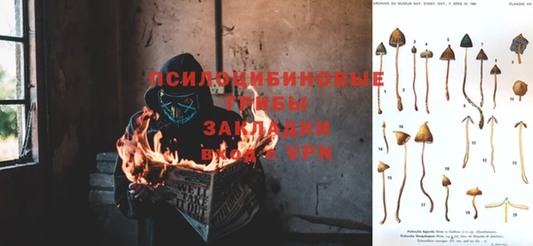 метадон Алексеевка