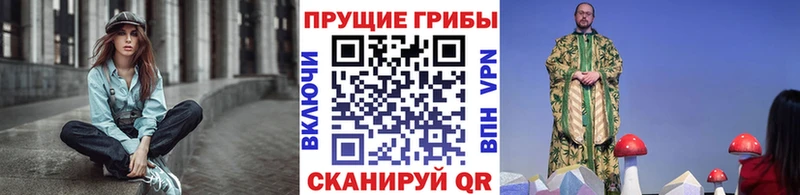 купить наркоту  Липки  блэк спрут онион  Псилоцибиновые грибы Psilocybine cubensis 